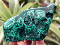 Polished Flower Banded Malachite Free Forms x 6 From Congo