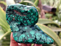 Polished Flower Banded Malachite Free Forms x 6 From Congo