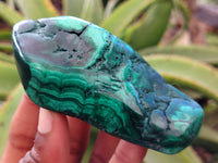 Polished Flower Banded Malachite Free Forms x 6 From Congo