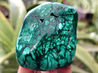 Polished Flower Banded Malachite Free Forms x 6 From Congo