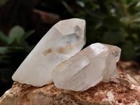 Natural Single White Quartz Crystals x 35 From Madagascar