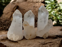 Natural Single White Quartz Crystals x 35 From Madagascar