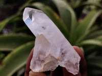 Natural Single White Quartz Crystals x 35 From Madagascar