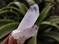 Natural Single White Quartz Crystals x 35 From Madagascar