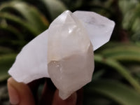 Natural Single White Quartz Crystals x 35 From Madagascar