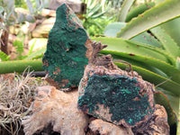 Natural Crystalline and Ball Malachite Specimens x 6 From Tenke Fungurume, Congo