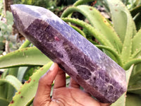 Polished Lepidolite with Pink Rubellite Points x 2 From Ambatondrazaka, Madagascar