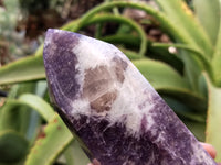 Polished Lepidolite with Pink Rubellite Points x 2 From Ambatondrazaka, Madagascar