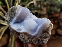 Natural Blue Lace Agate Geodes x 12 From Nsanje, Malawi