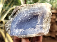 Natural Blue Lace Agate Geodes x 12 From Nsanje, Malawi