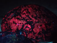 Polished Ruby Corundum In Chrome Verdite Free Forms x  From Zimbabwe