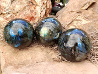 Polished Labradorite Spheres x 4 From Tulear, Madagascar