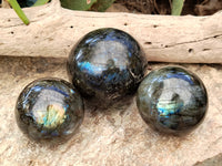 Polished Labradorite Spheres x 4 From Tulear, Madagascar