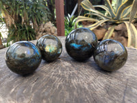 Polished Labradorite Spheres x 4 From Tulear, Madagascar