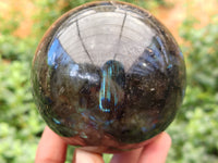 Polished Labradorite Spheres x 4 From Tulear, Madagascar