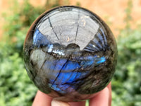 Polished Labradorite Spheres x 4 From Tulear, Madagascar