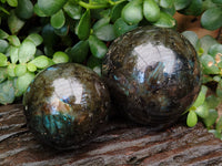 Polished Labradorite Spheres x 4 From Tulear, Madagascar