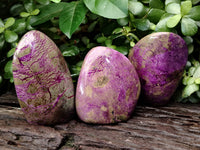 Polished Stichtite Standing Free Forms x 3 From Barberton, South Africa