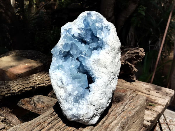 Natural Large Celestite Geode Specimen x 1 From Sakoany, Madagascar