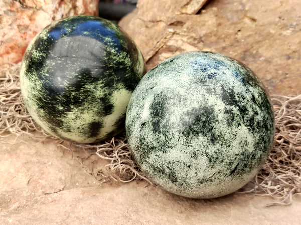 Polished Leopard Stone Spheres x 2 From Nyanga, Zimbabwe