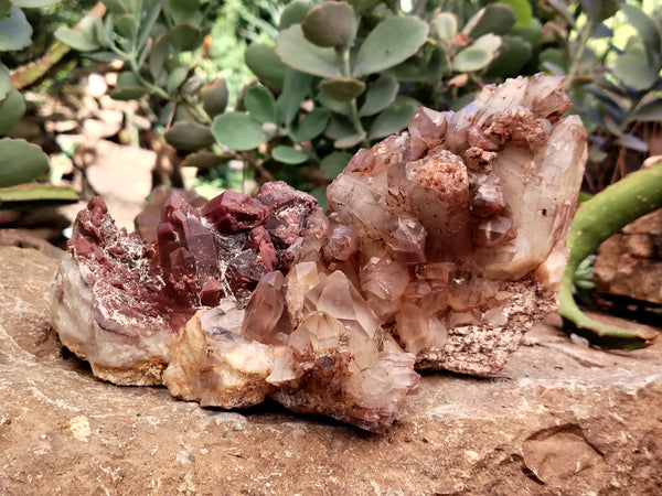 Natural Red Hematoid Phantom Quartz Clusters x 3 From Karoi, Zimbabwe