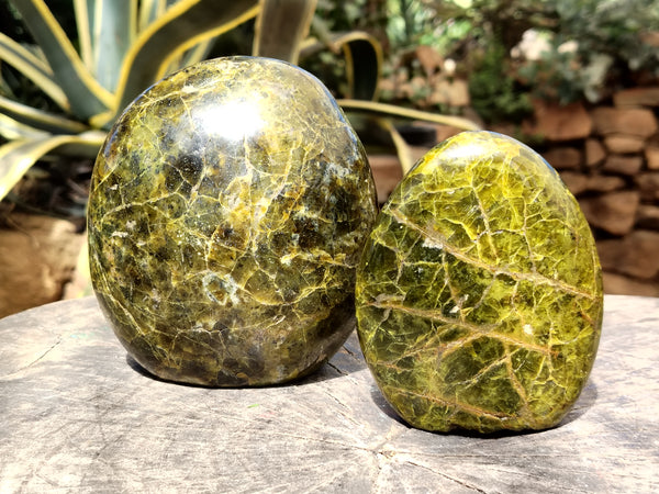 Polished Green Opal Standing Free Forms x 2 From Antsirabe, Madagascar