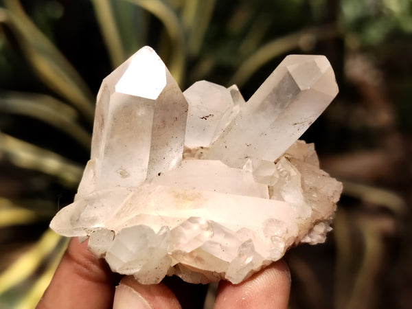 Natural Clear White Quartz Clusters x 35 From Madagascar