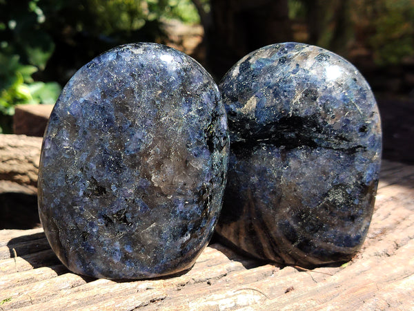 Polished Iolite Standing Free Forms x 2 From Ambatofinandrahana, Madagascar