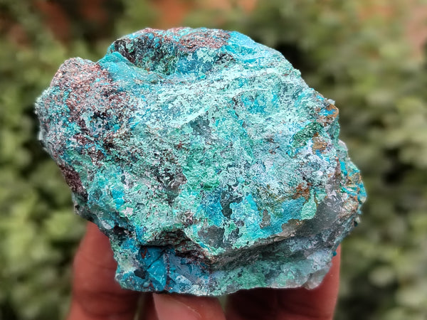 Natural Shattuckite with Chrysocolla and Malachite Cobbed Specimens x 11 From Kaokoveld, Namibia