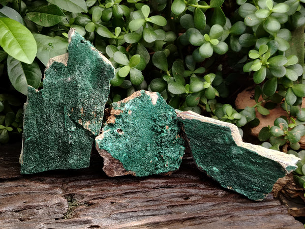 Natural Crystalline and Botryoidal  Malachite Specimens x 3 From Tenke Fungurume, Congo