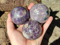 Polished Lepidolite with Pink Rubellite Spheres x 6 From Ambatondrazaka, Madagascar