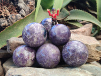 Polished Lepidolite with Pink Rubellite Spheres x 6 From Ambatondrazaka, Madagascar