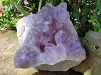 Natural Jacaranda Amethyst Quartz Cluster x 1 From Mumbwa, Zambia