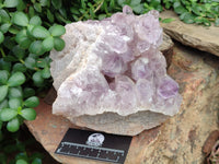 Natural Jacaranda Amethyst Quartz Cluster x 1 From Mumbwa, Zambia