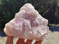 Natural Jacaranda Amethyst Quartz Cluster x 1 From Mumbwa, Zambia