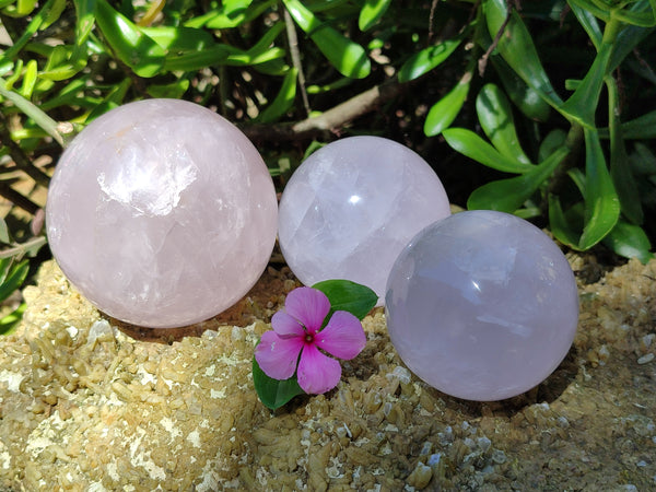 Polished Blue Girasol Rose Quartz Sphere's x 3 From Madagascar