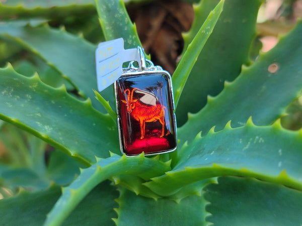 Polished Mixed Baltic Amber Pendants on Sterling Silver x 5 From Poland