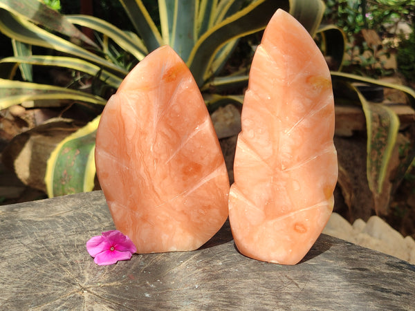 Polished Orange Twist Calcite Leaf Sculpture x 2 From Maevantanana, Madagascar