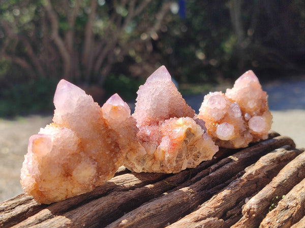 Natural Ametrine Spirit Quartz Clusters x 20 From Boekenhouthoek, South Africa