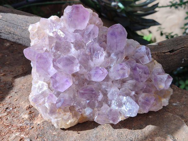 Natural Jacaranda Amethyst Quartz Cluster x 1 From Mumbwa, Zambia