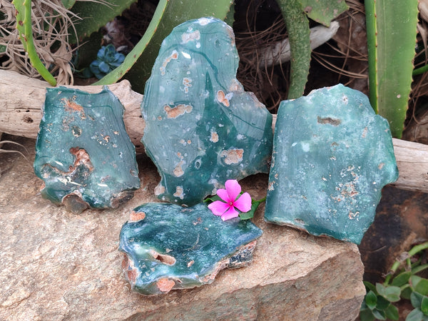 Polished On One Side Emerald Mtorolite Plates x 4 From Mutorashanga, Zimbabwe