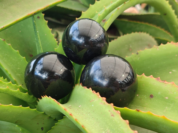 Polished Black Basalt Spheres x 5 From Antsirabe, Madagascar