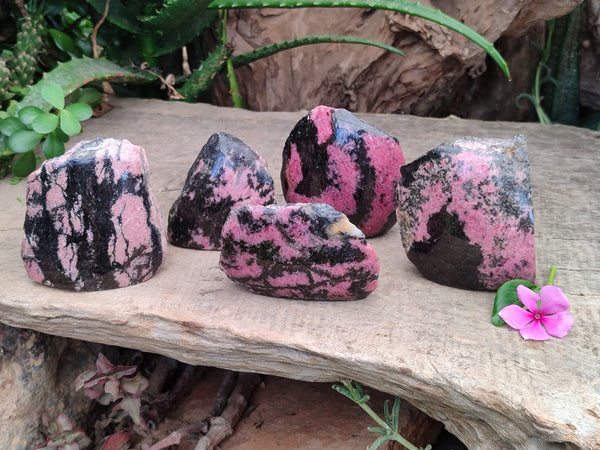 Polished on One Side Rhodonite Nodules x 5 From Ambindavato, Madagascar