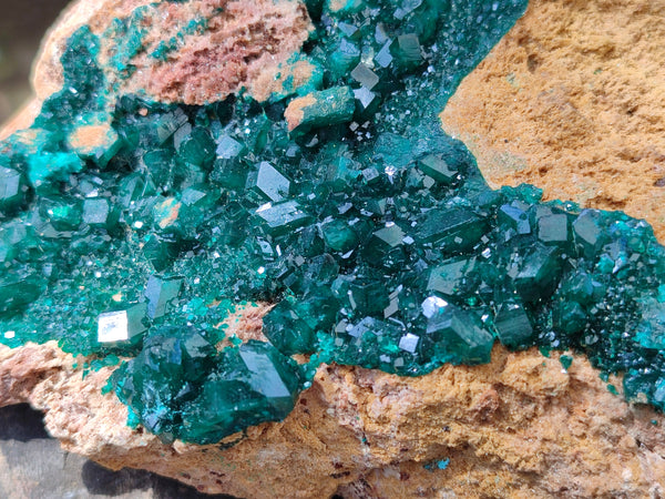 Natural Rare Dioptase Cabinet Specimen x 1 From Likasi, Congo