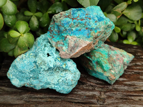 Natural Shattuckite with Chrysocolla and Malachite Cobbed Specimens x 20 From Kaokoveld, Namibia