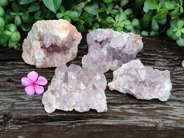 Natural Jacaranda Amethyst Quartz Clusters x 4 From Mumbwa, Zambia