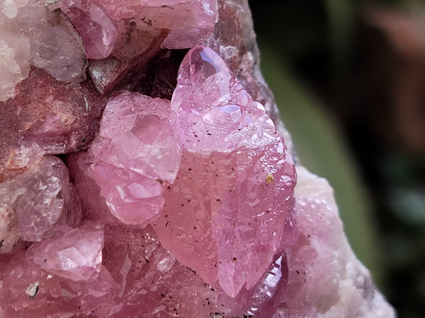 Natural Rare Rhodocalcite Specimen x 1 From Mashamba West, Congo