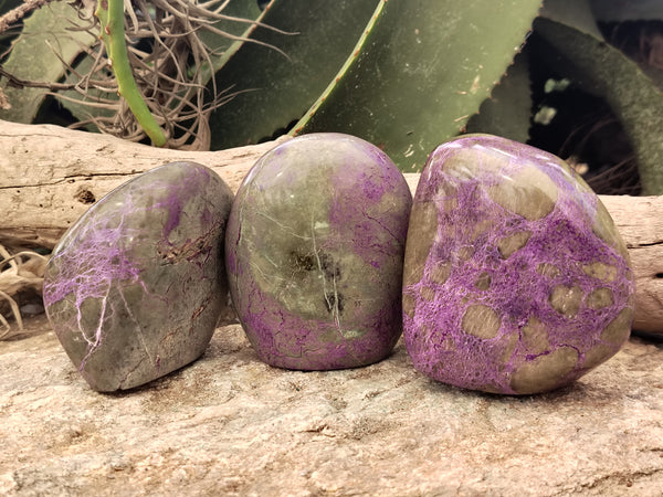 Polished Stichtite Standing Free Forms x 3 From Barberton, South Africa