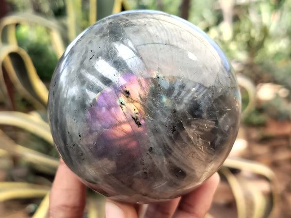 Polished Purple Flash Labradorite Spheres x 2 From Tulear, Madagascar