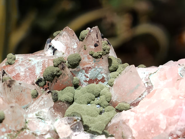 Natural Rare Dog Tooth Rhodocalcite with Kolwezite Specimens x 2 From Mashamba West, Congo